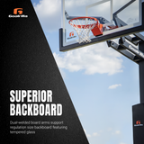 professional basketball hoop