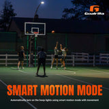 Ultimate Basketball Bundle