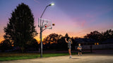 Silverback Solar LED Hooplight