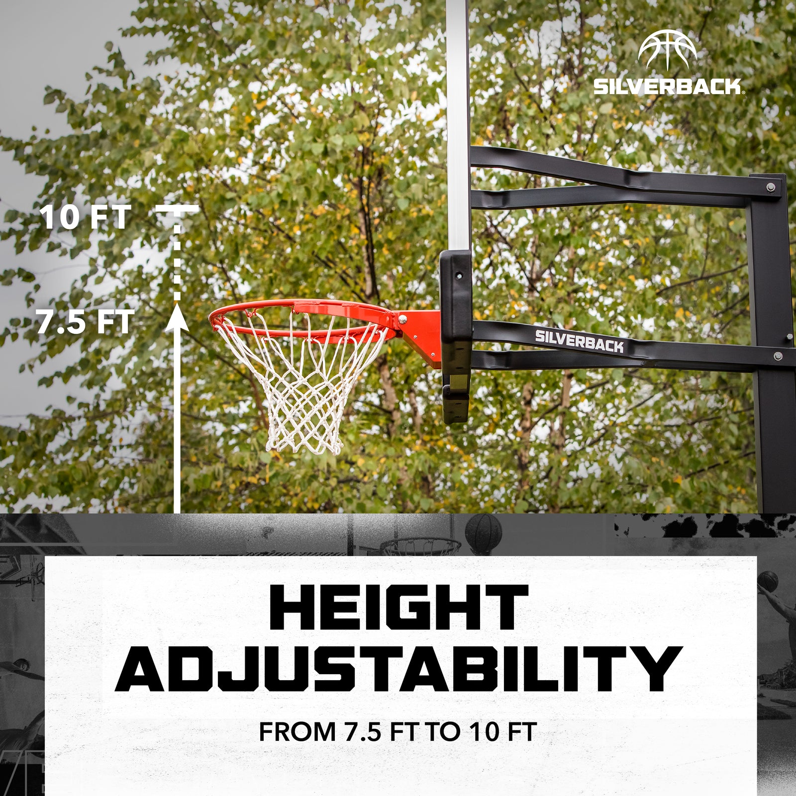 Silverback SB54iG 54 In Ground Basketball Hoop – Goalrilla